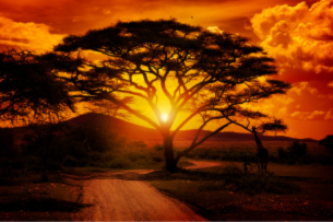 Africa - Natural resouces