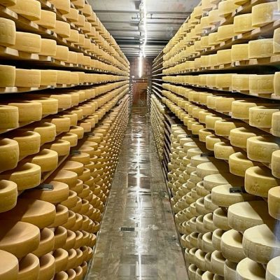 Cheese & Farm Visit