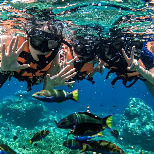 Diving & Snorkeling