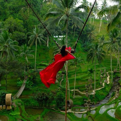 Jungle Swing Chiang Mai