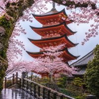 Kyoto