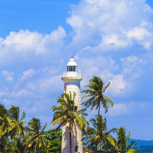 Lighthouse Views