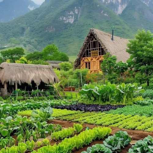 Local Farm Visit