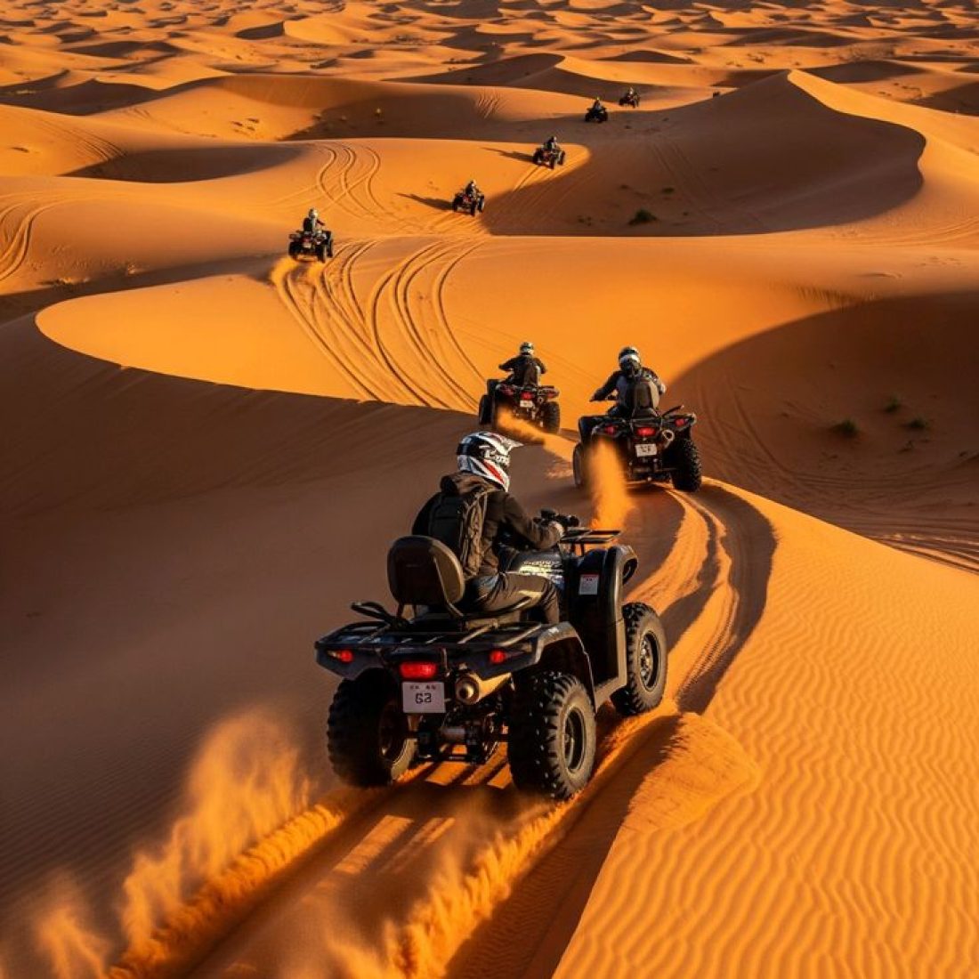 North Africa Discovery