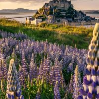 Provence