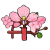 Sakura Special Sakura Special