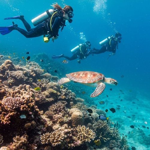 Snorkeling & Diving