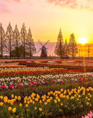 Spring flowers across Italy