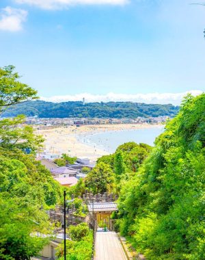 Summer Japan