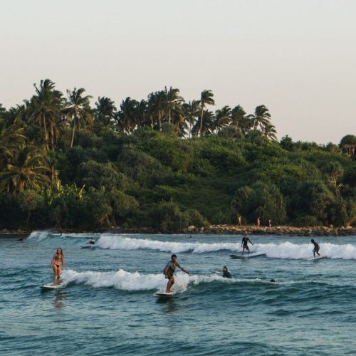 Surfing & Diving