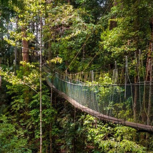 Taman Negara