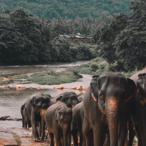 Udawalawe